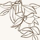 A drawing of flowers