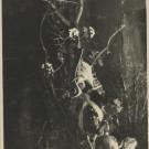 A black and white photo of a performer.